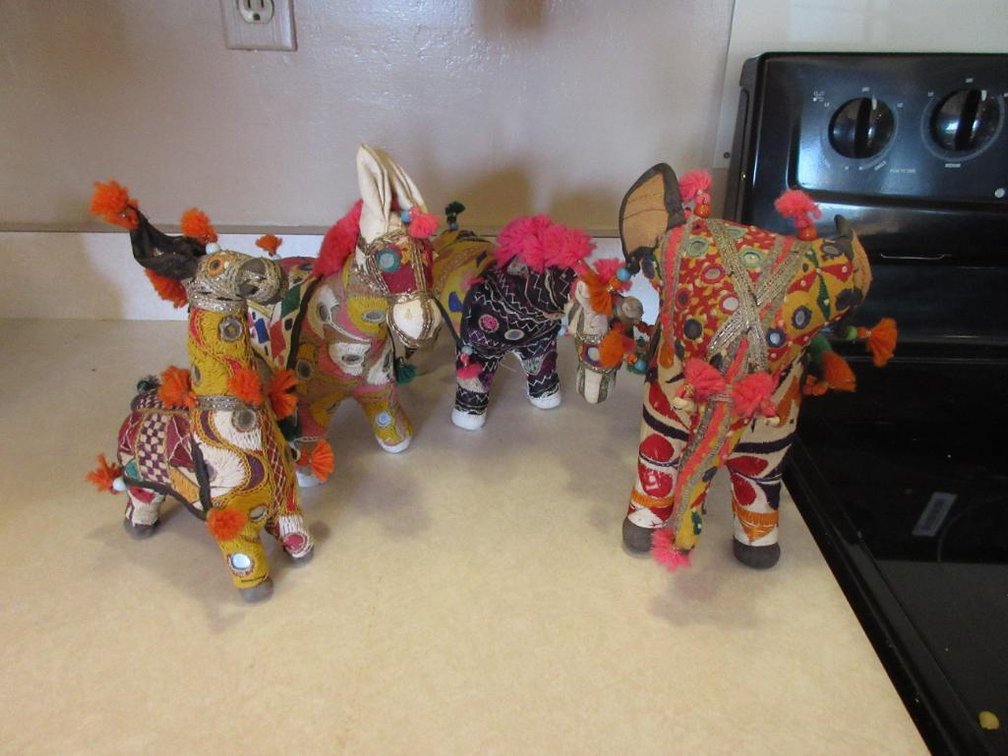 safari animals