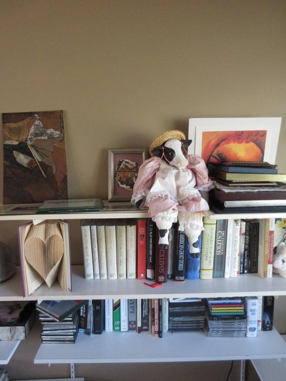 books on shelf
