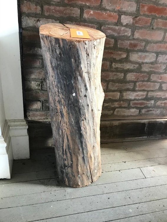 Large locust tree log