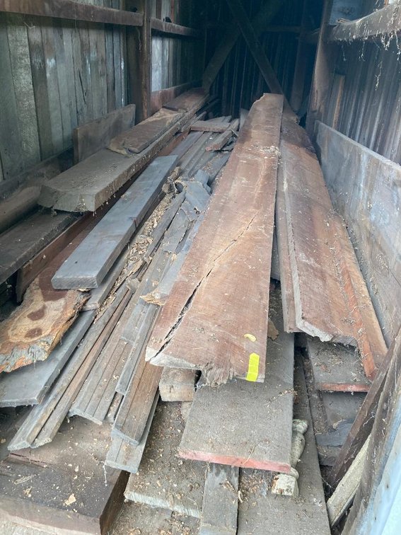 Lot of wood in building,  Mulberry????