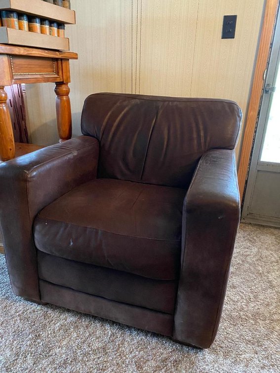 Modern nag hide chair
