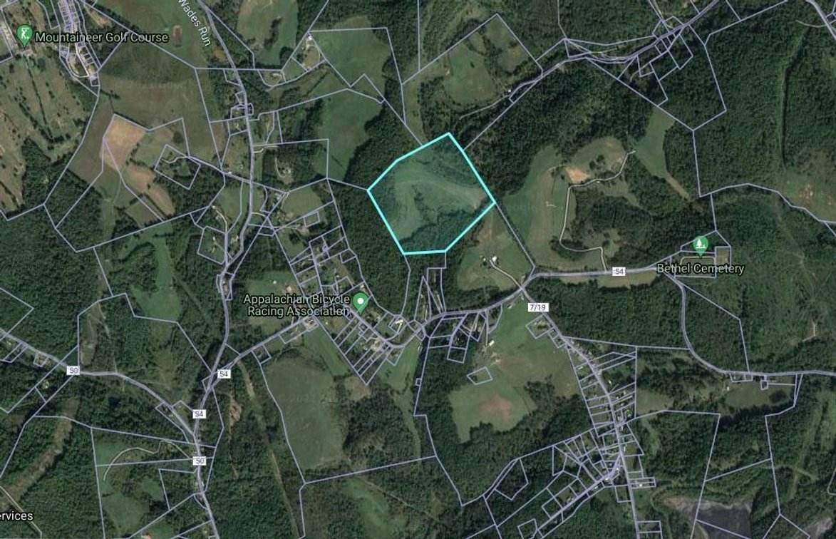 42.394+/- Acres Wades Run