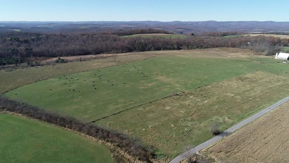 Image for SOLD $632,500 - 91-Acre Farm with 6-Bedroom Home Being Sold to the Highest Bidder