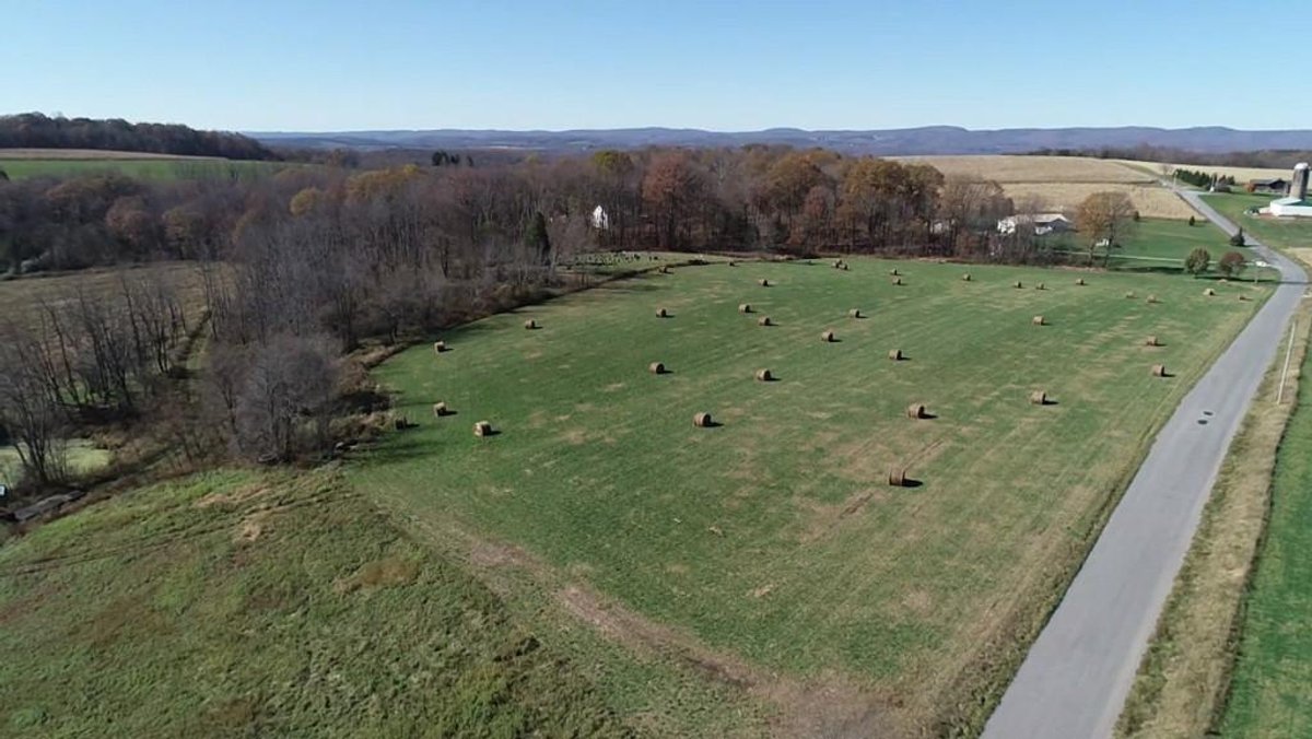 Image for SOLD $632,500 - 91-Acre Farm with 6-Bedroom Home Being Sold to the Highest Bidder