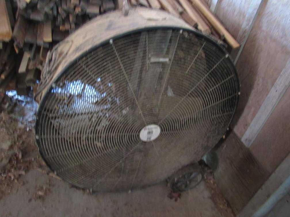 Shop Fan
