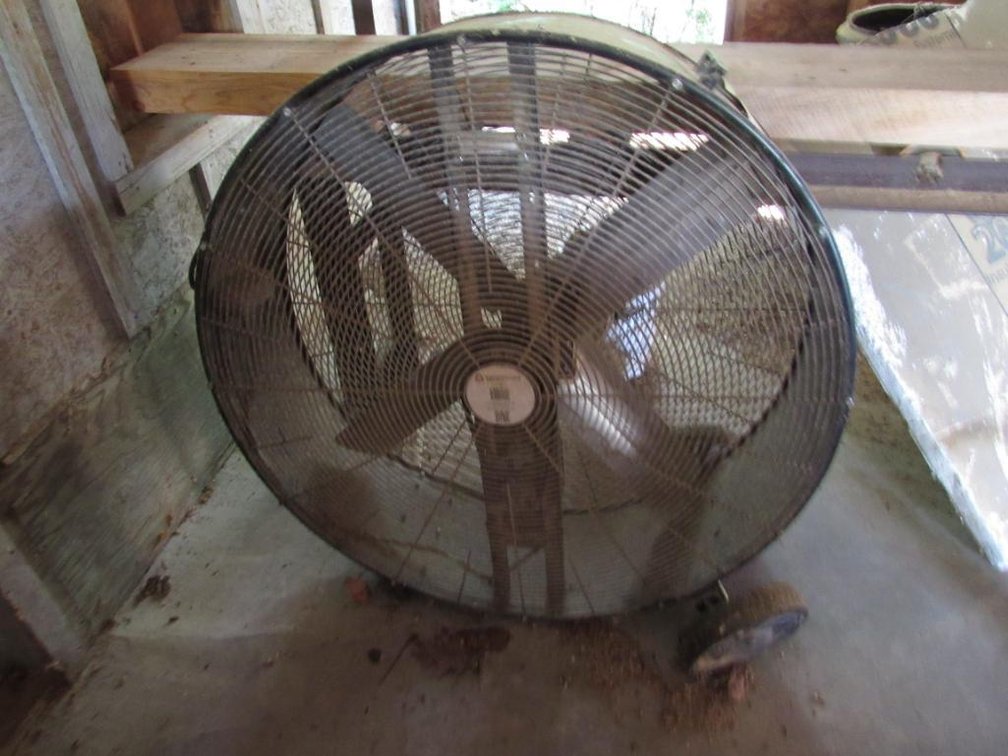 Shop Fan