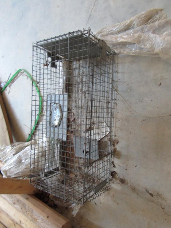 Live Trap Cage