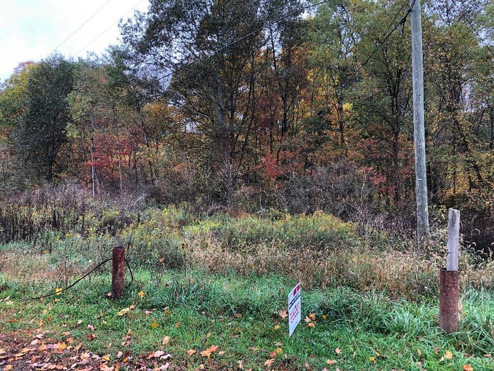 Image for SOLD - Over 1,000 Acres in Marion County Offered in 30 Parcels