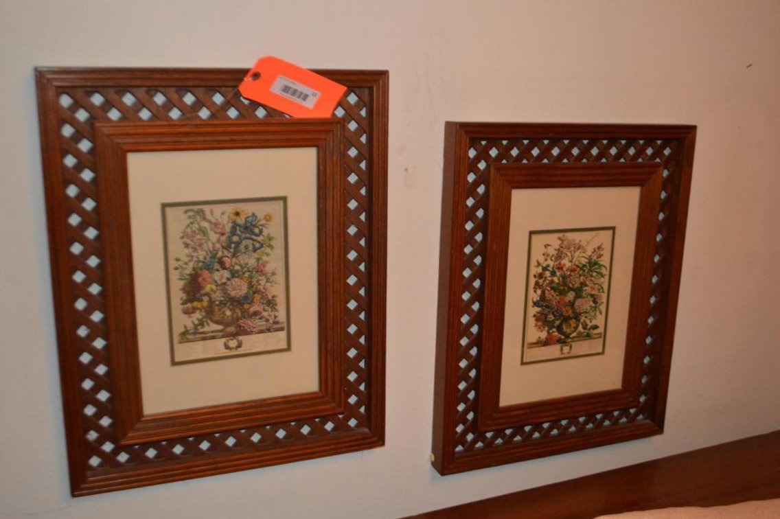 2 Framed illustrations of flowers