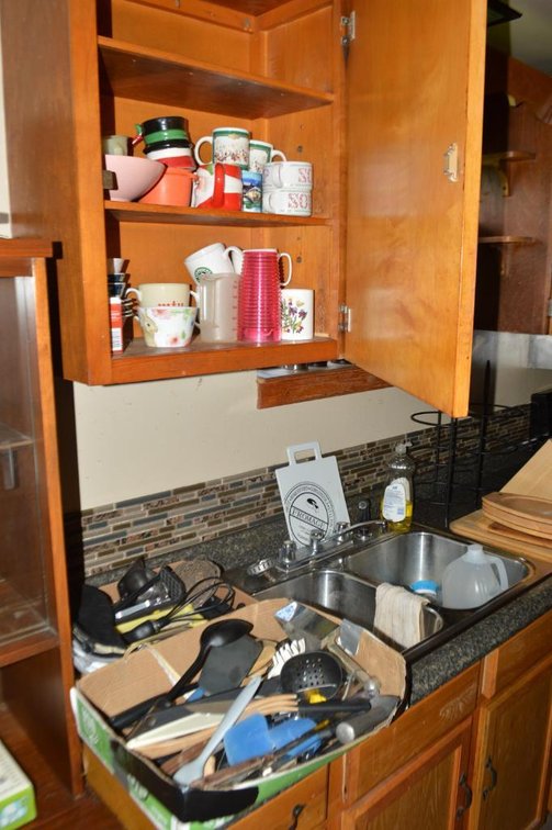 Contents of cabinet, items on counter, kitchen ware