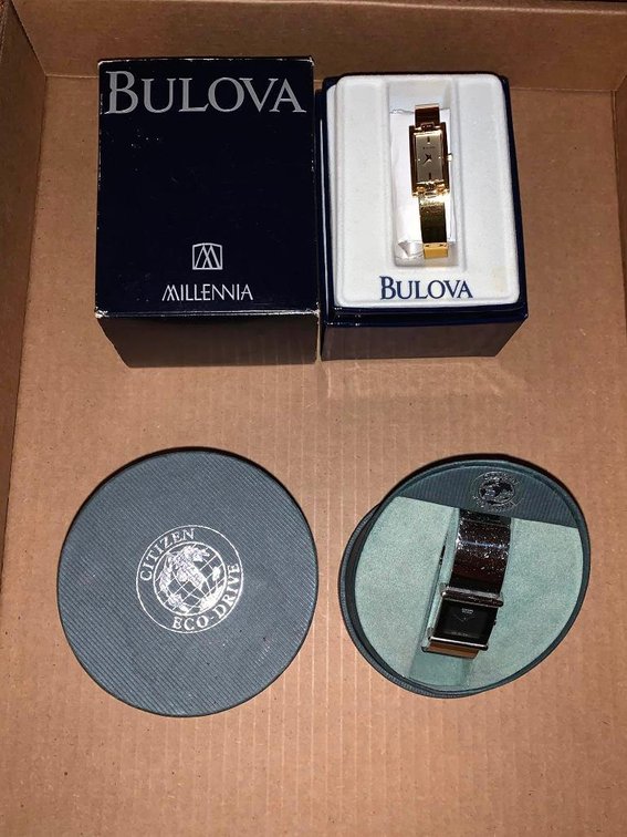Citizen Eco Drive woman's watch & Bolivia woman's watch