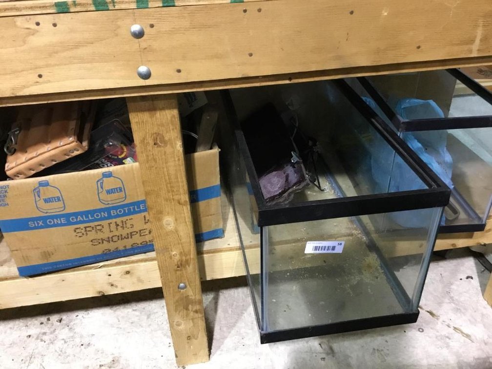 Contents under bench: fish tanks, plumbers supplies, etc.