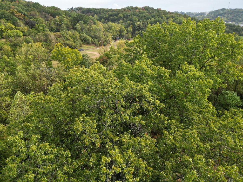 Image for SOLD $25,300 - 4.48 Acres Adjacent to Rotary Park in Huntington