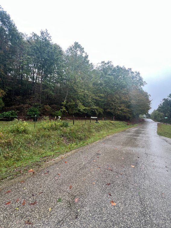 Image for SOLD $18,425 - 9 Acres in Lincoln County Selling to the Highest Bidder