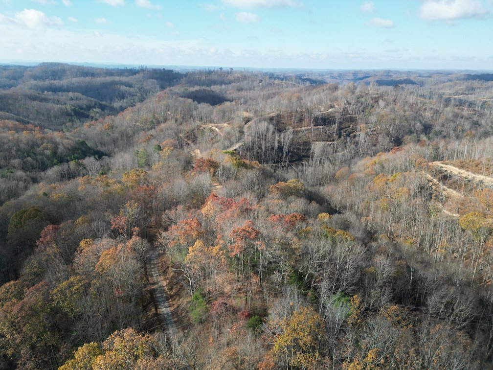 Image for SOLD $148,500 - 68 Acres near Hatfield & McCoy Trails Selling to the Highest Bidder
