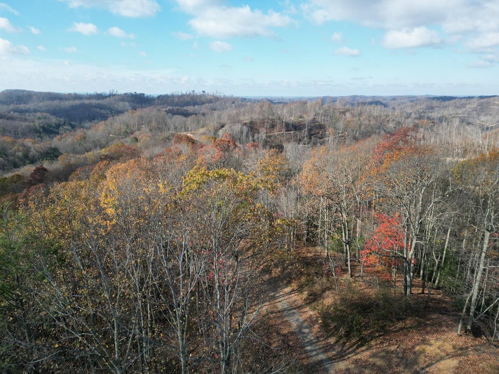 Image for SOLD $148,500 - 68 Acres near Hatfield & McCoy Trails Selling to the Highest Bidder