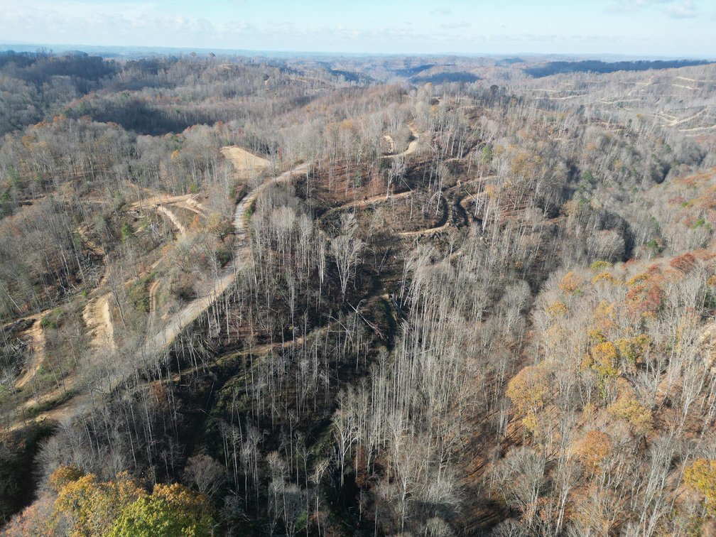 Image for SOLD $148,500 - 68 Acres near Hatfield & McCoy Trails Selling to the Highest Bidder