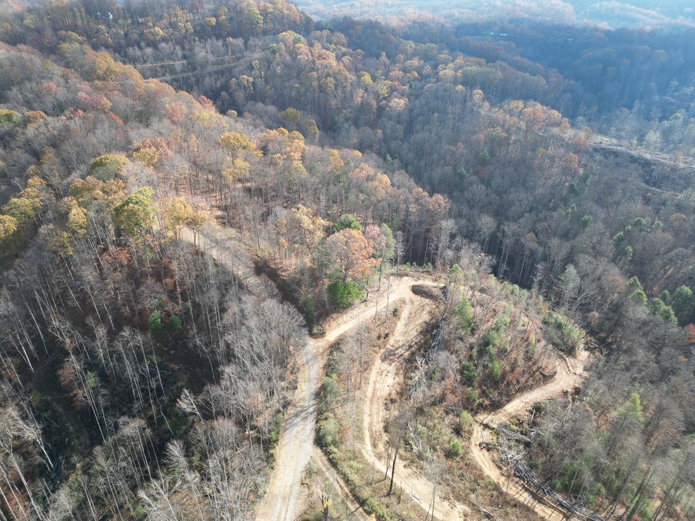 Image for SOLD $148,500 - 68 Acres near Hatfield & McCoy Trails Selling to the Highest Bidder