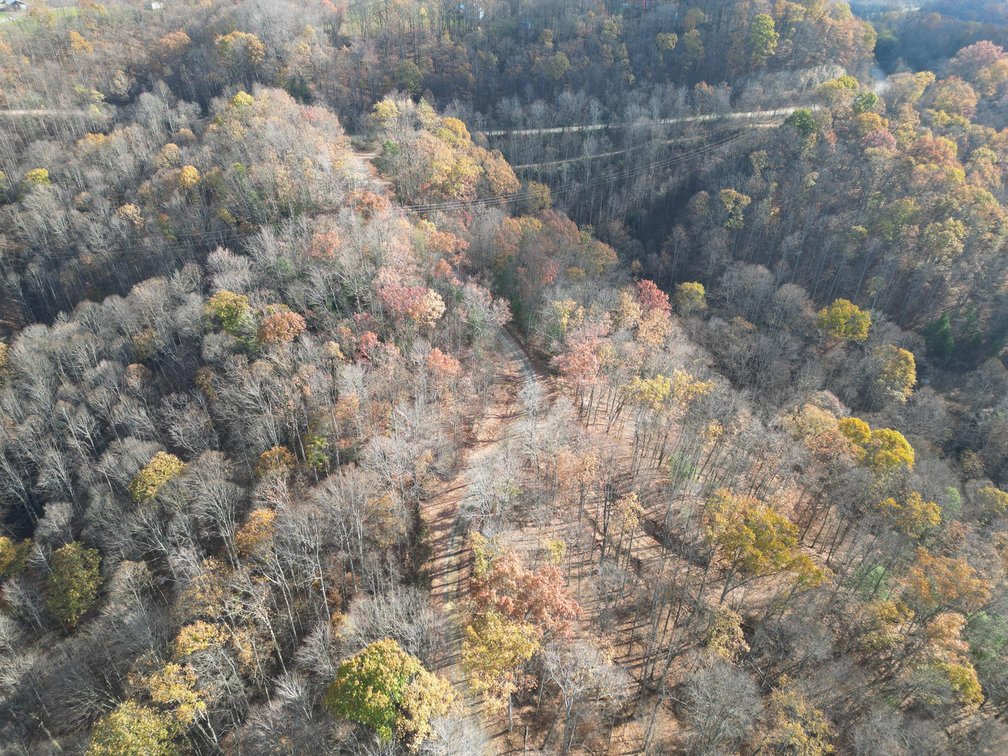 Image for SOLD $148,500 - 68 Acres near Hatfield & McCoy Trails Selling to the Highest Bidder