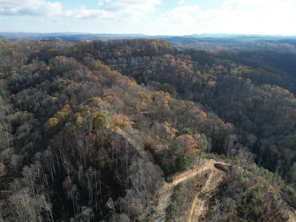 Image for SOLD $148,500 - 68 Acres near Hatfield & McCoy Trails Selling to the Highest Bidder