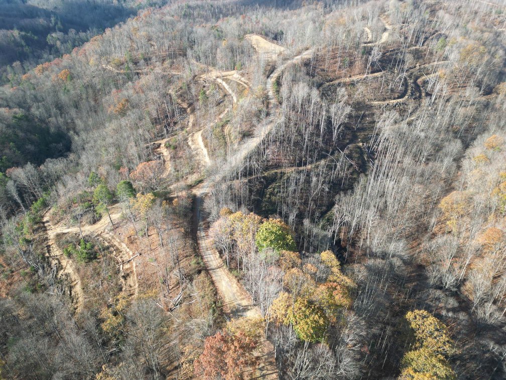 Image for SOLD $148,500 - 68 Acres near Hatfield & McCoy Trails Selling to the Highest Bidder