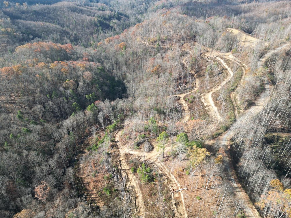 Image for SOLD $148,500 - 68 Acres near Hatfield & McCoy Trails Selling to the Highest Bidder