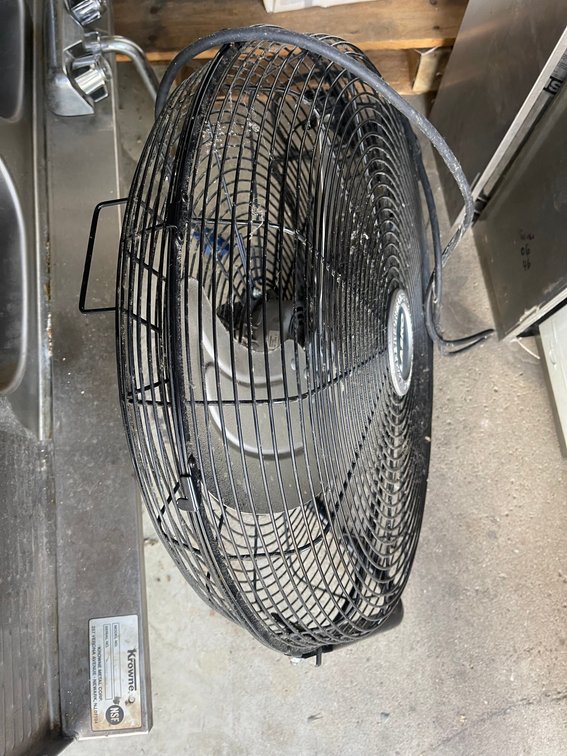 Fan