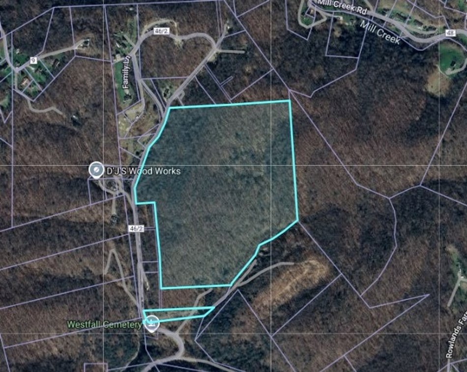  50 Wooded Acres in Charleston