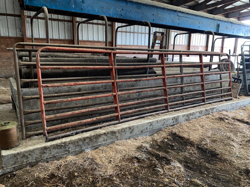 16x4 Livestock Gates