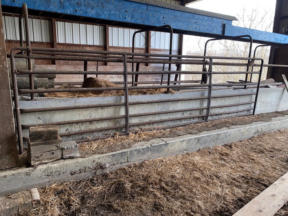 16x4 Cattle Gate