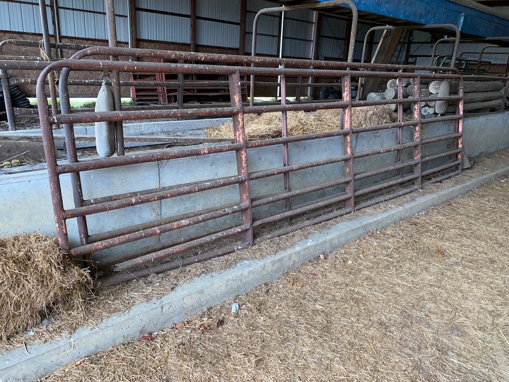 2-16x4 Cattle Gates