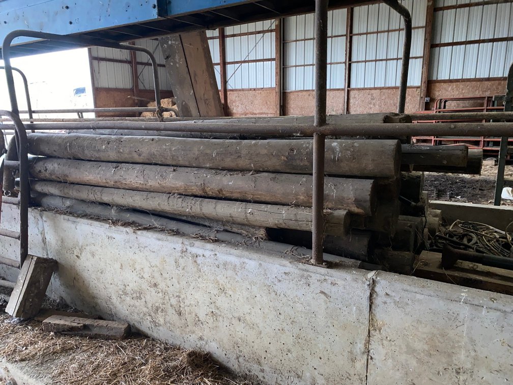 8 Foot Wooden Posts