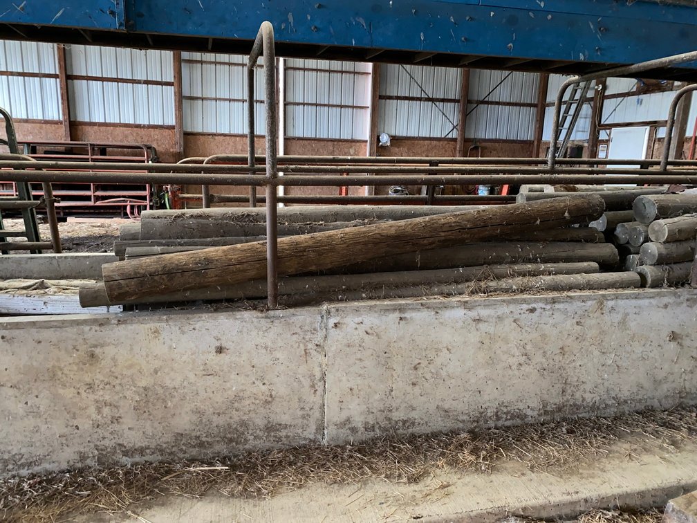 8 Ft. Wooden Posts