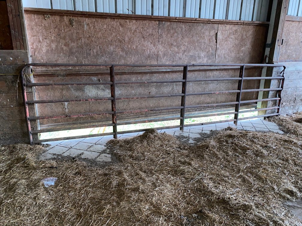 16x4 Cattle Fence