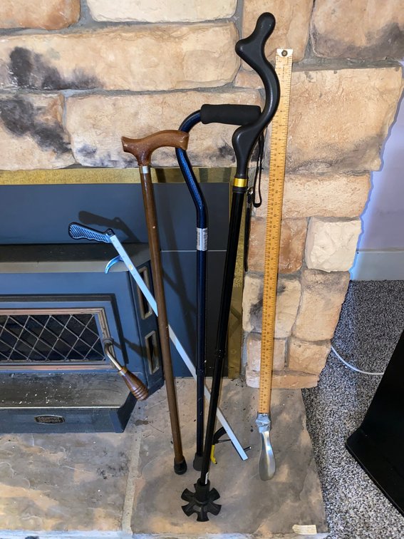 Walking sticks, yardstick