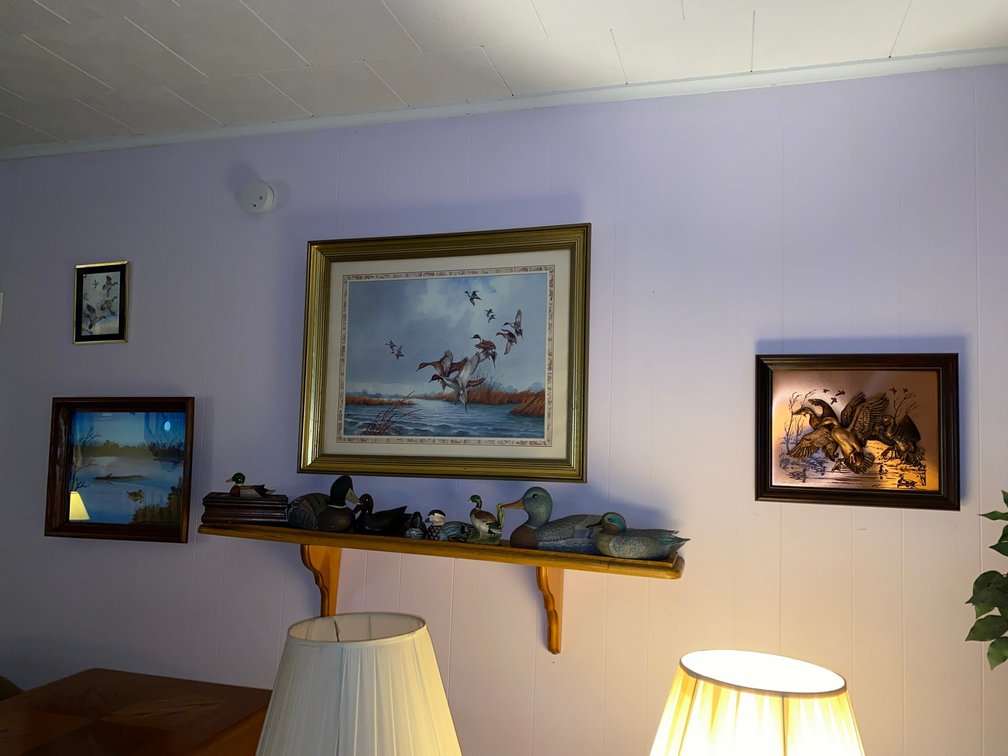 50" Shelf w/ decorative ducks and duck pictures