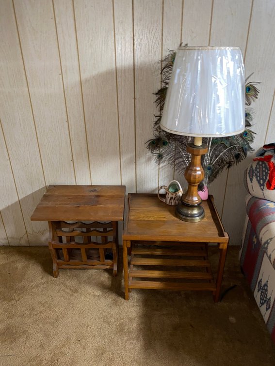 Magazine rack, small side table, lamp and peacock feathers