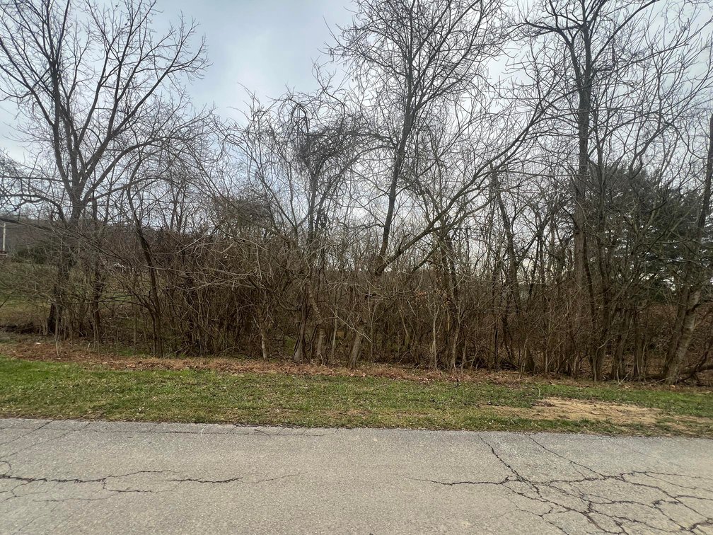 Image for SOLD - 2 Acres in Ravenswood Selling to the Highest Bidder