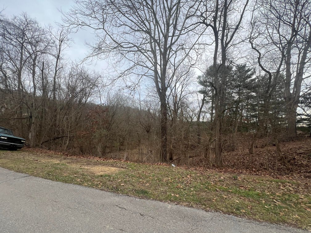 Image for SOLD - 2 Acres in Ravenswood Selling to the Highest Bidder