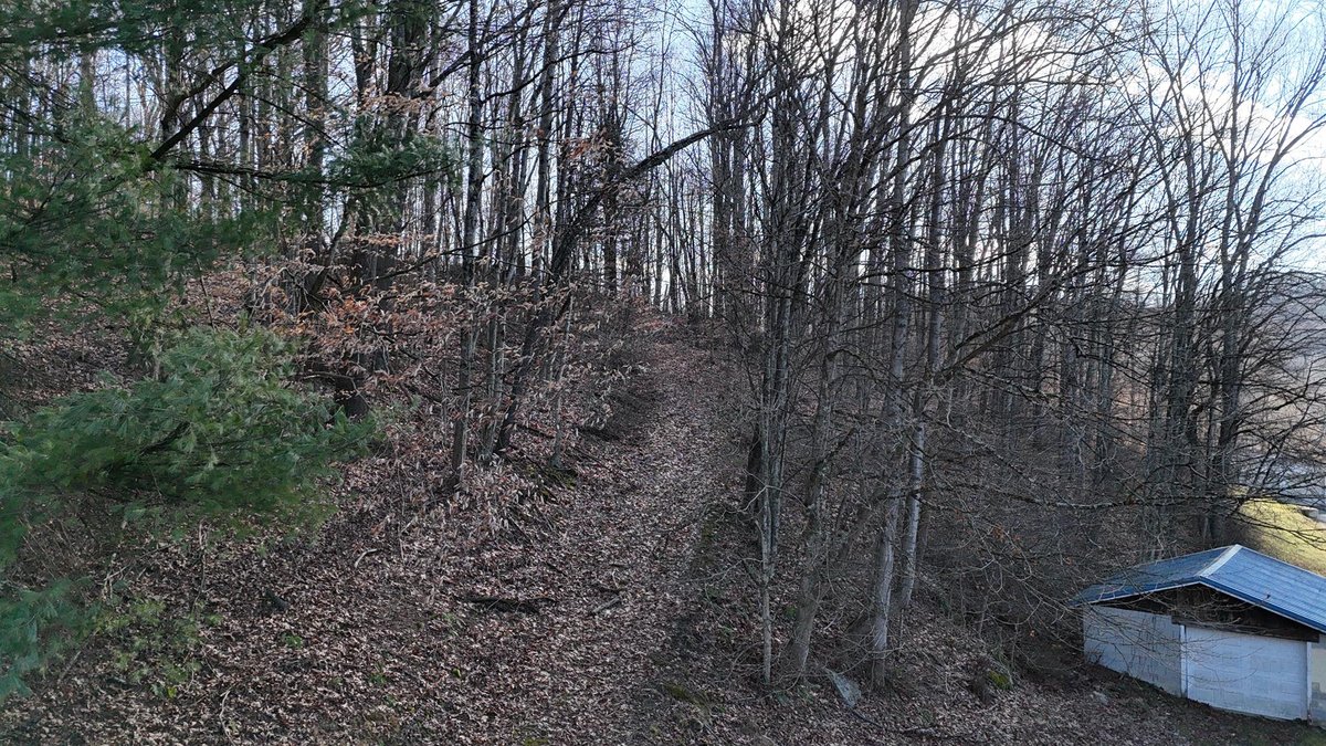Image for SOLD $53,900 - 3 Bedroom on 5 Acres in the Paw Paw Creek Area