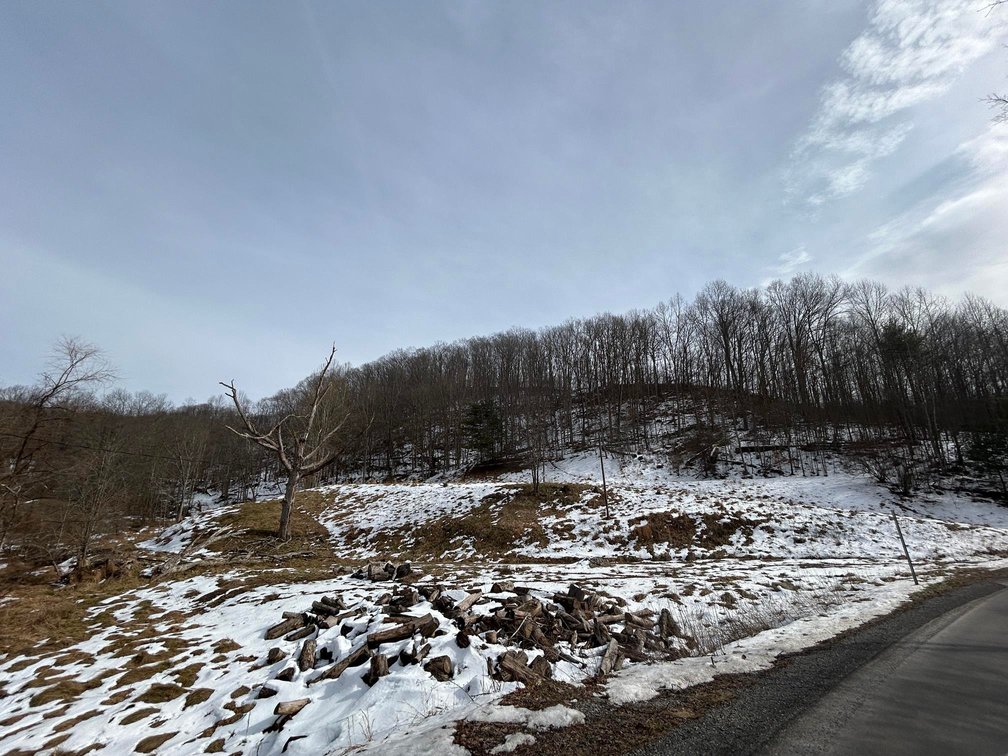 Image for SOLD $99,668 - 56 Acres with Free Gas in Braxton County