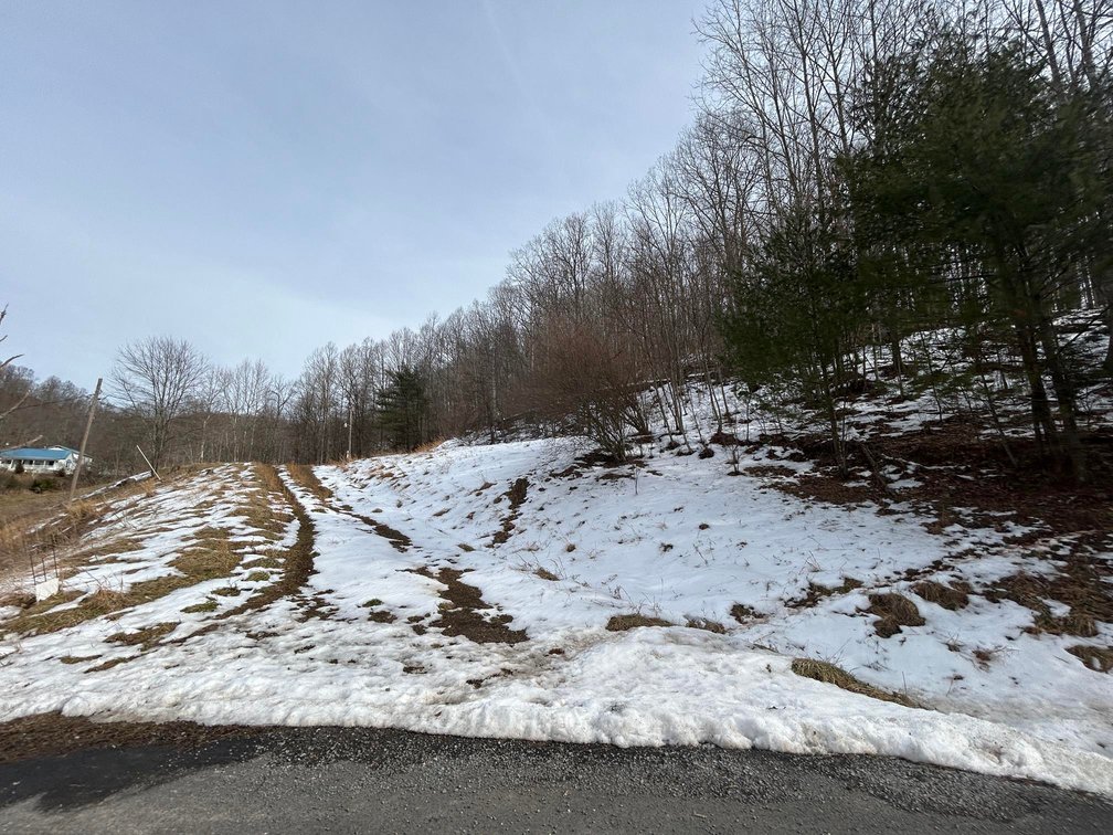 Image for SOLD $99,668 - 56 Acres with Free Gas in Braxton County