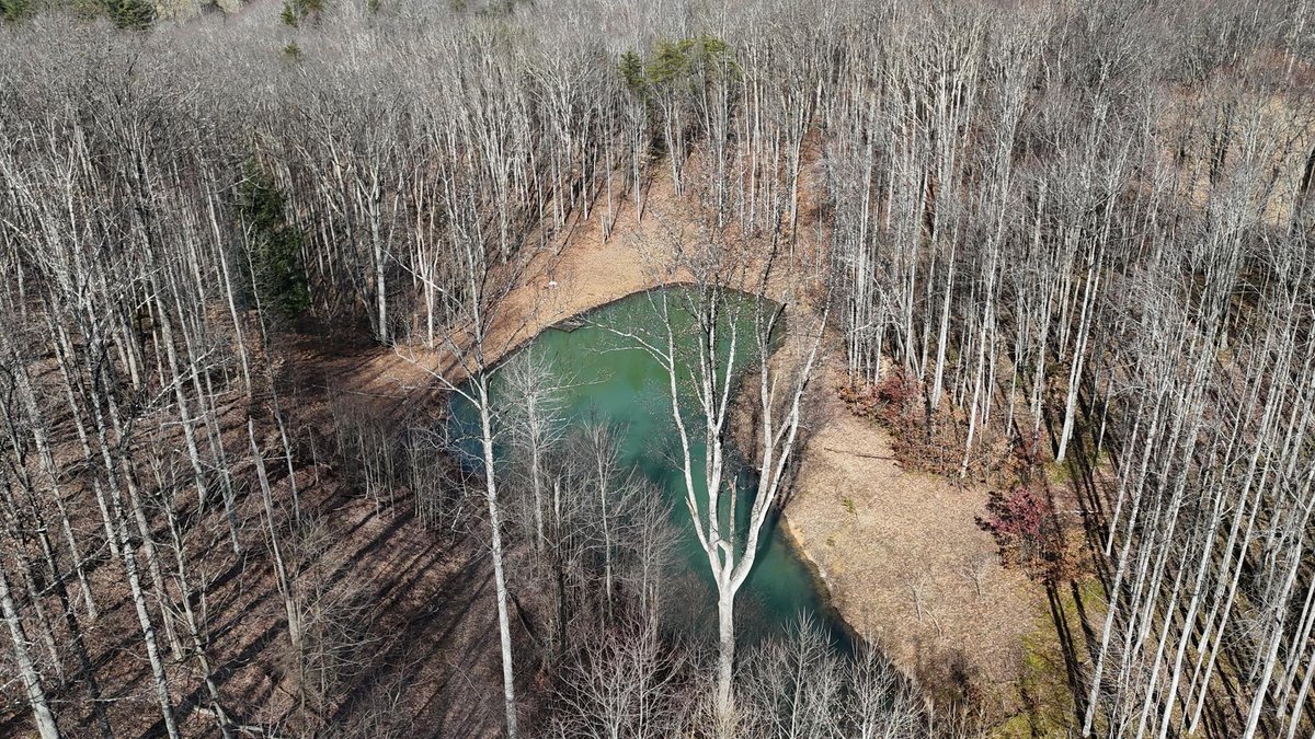Image for SOLD $231, 000 - 3 Bedroom Cape Cod on 9 Acres in Buckhannon