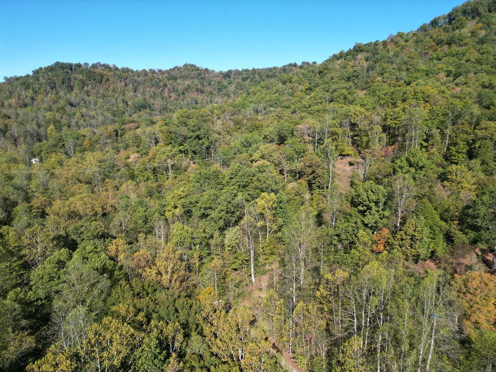 Image for SOLD $104,500 - 97 Private Acres in Boone County