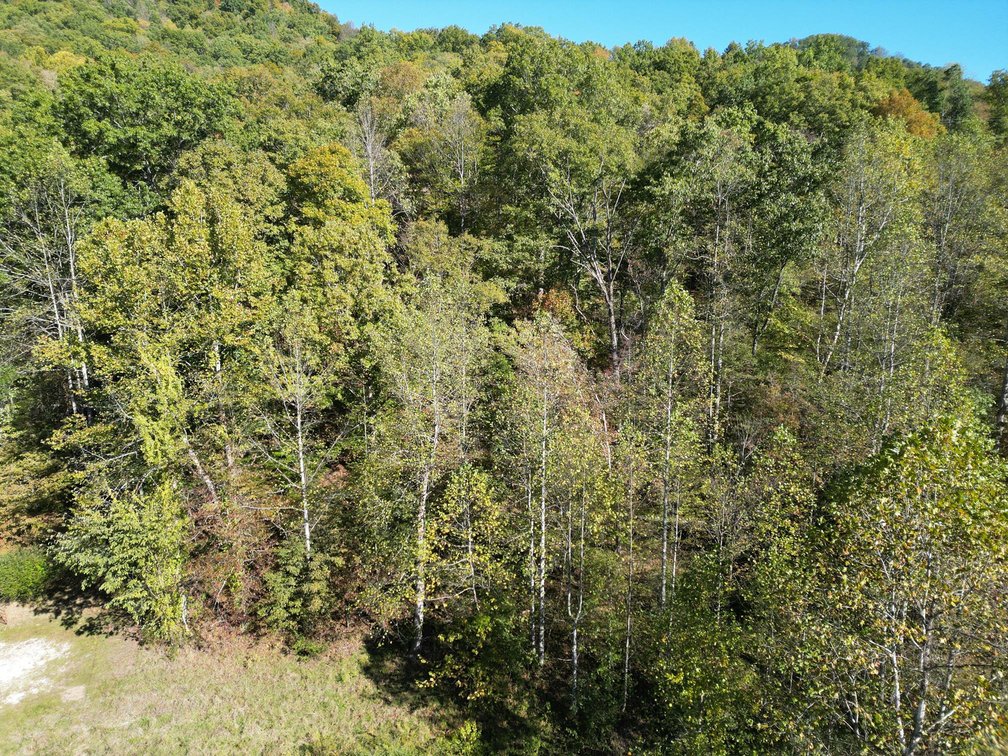 Image for SOLD $104,500 - 97 Private Acres in Boone County