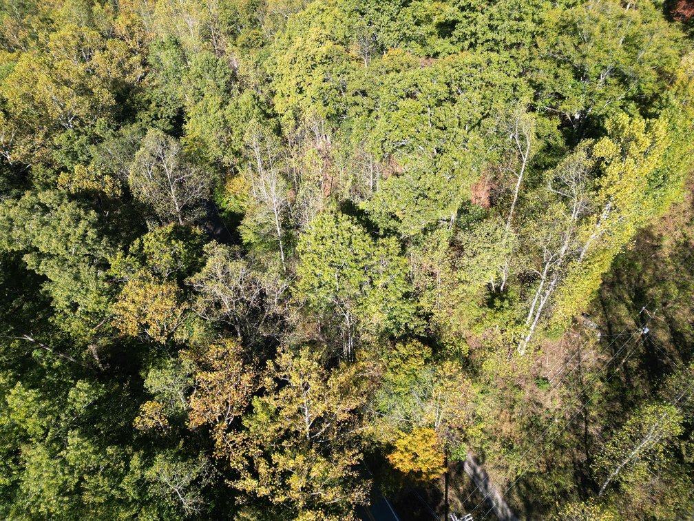Image for SOLD $104,500 - 97 Private Acres in Boone County