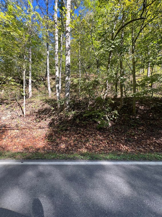 Image for SOLD $104,500 - 97 Private Acres in Boone County