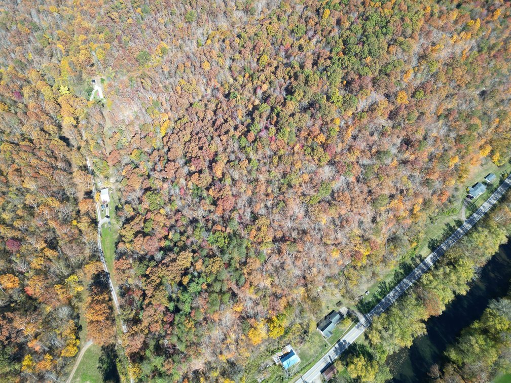 Image for SOLD $31,900 - Nearly 37 Wooded Acres in Calhoun County