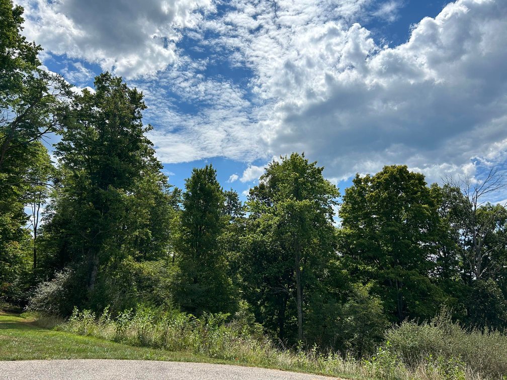Image for SOLD $129,250 - Spacious Lots in Chrystal Estates Subdivision of Barboursville