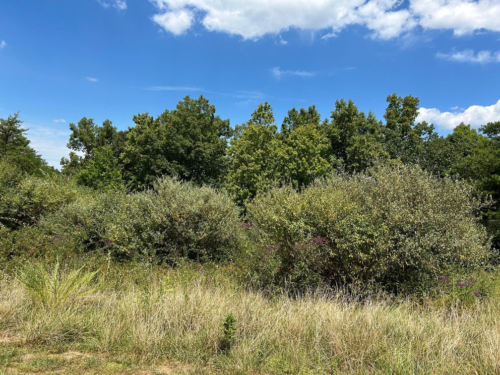 Image for SOLD $129,250 - Spacious Lots in Chrystal Estates Subdivision of Barboursville